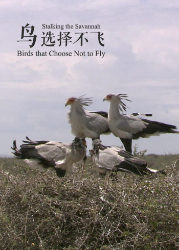 男生女生在一起做插孔视频